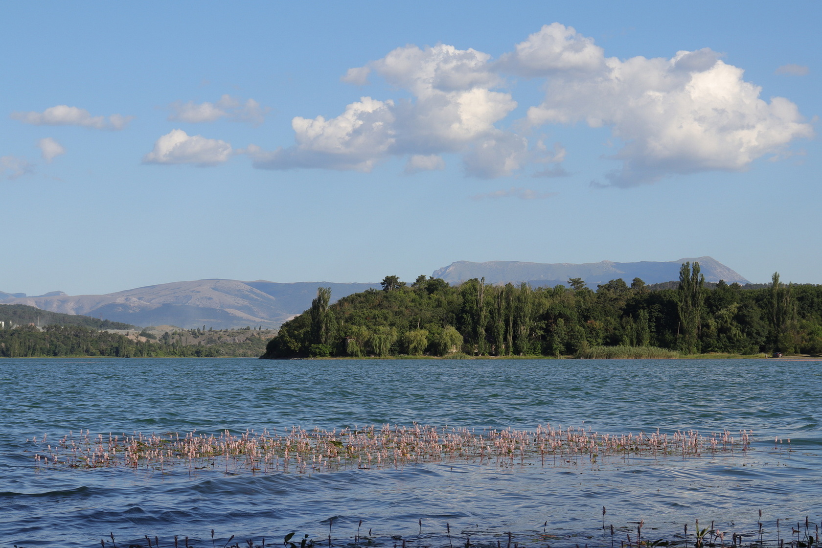 Симферопольское Водохранилище, image of landscape/habitat.