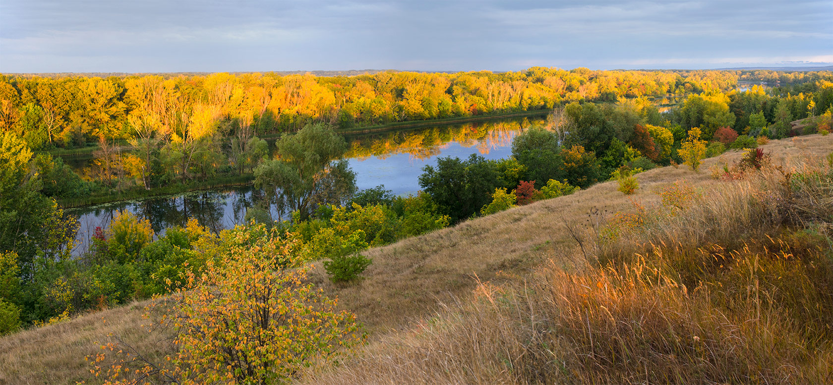 Кольцовская Воложка, image of landscape/habitat.