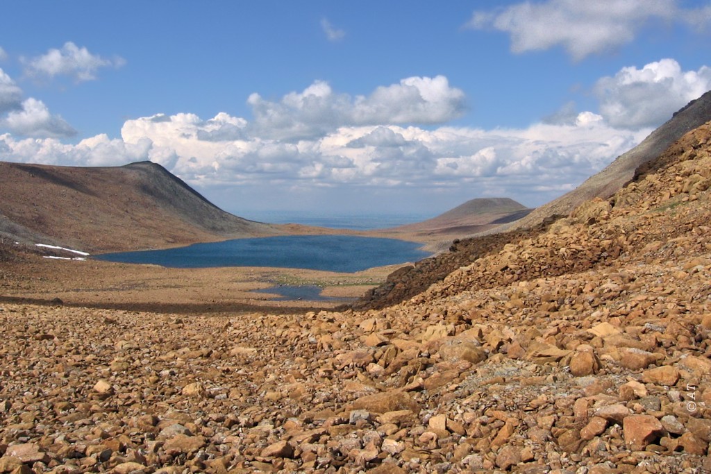 Пайер, image of landscape/habitat.