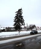 Гродно, image of landscape/habitat.