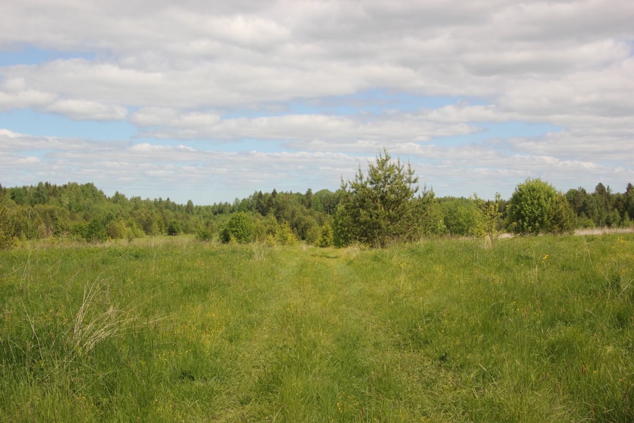 Окрестности Титово, image of landscape/habitat.