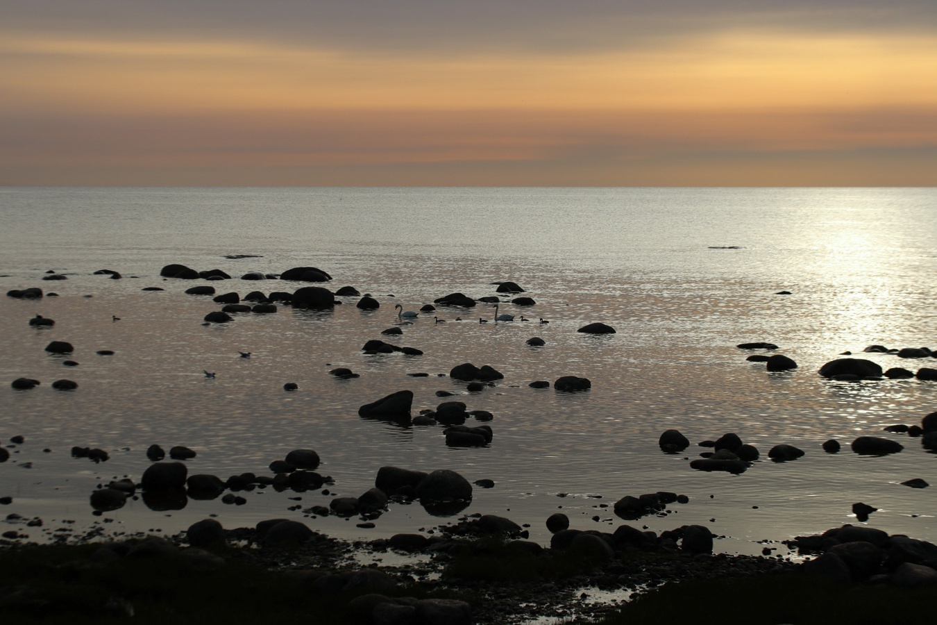 Каравалдай, image of landscape/habitat.