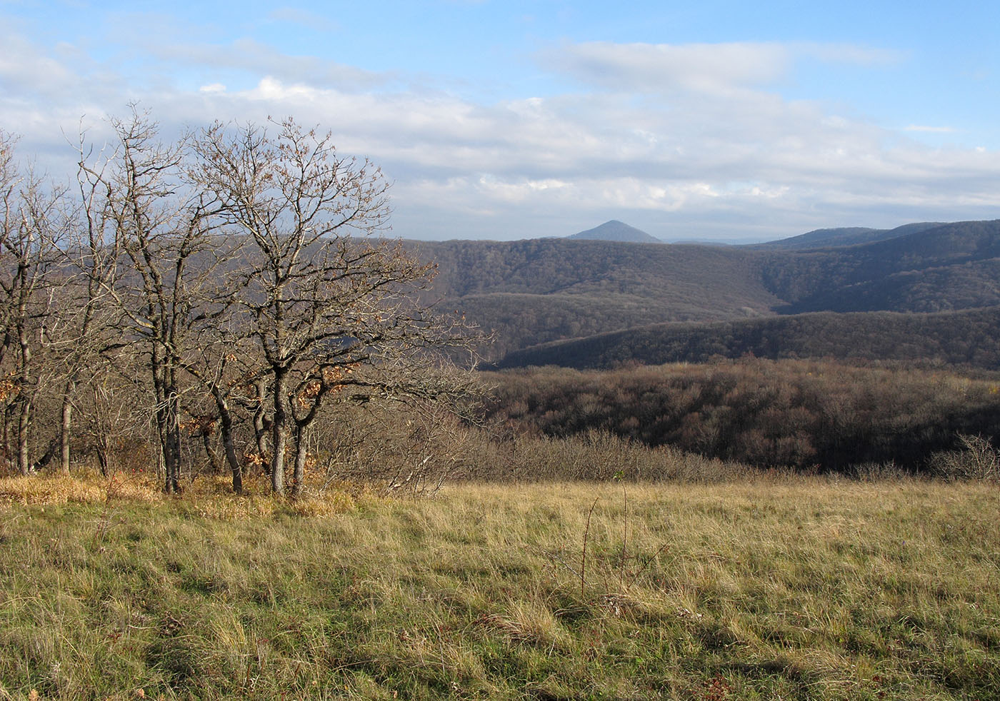 Гора Купцева, image of landscape/habitat.