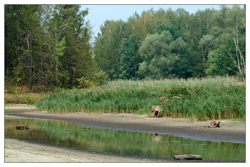 Саралы, image of landscape/habitat.