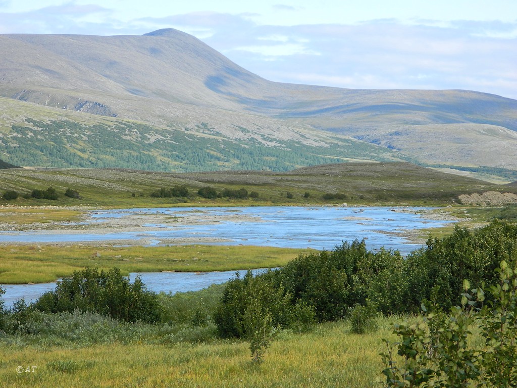 Большой Ханмей, image of landscape/habitat.