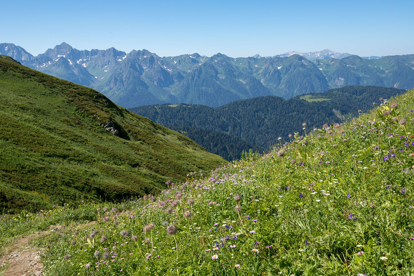 Перевал Аишха, image of landscape/habitat.