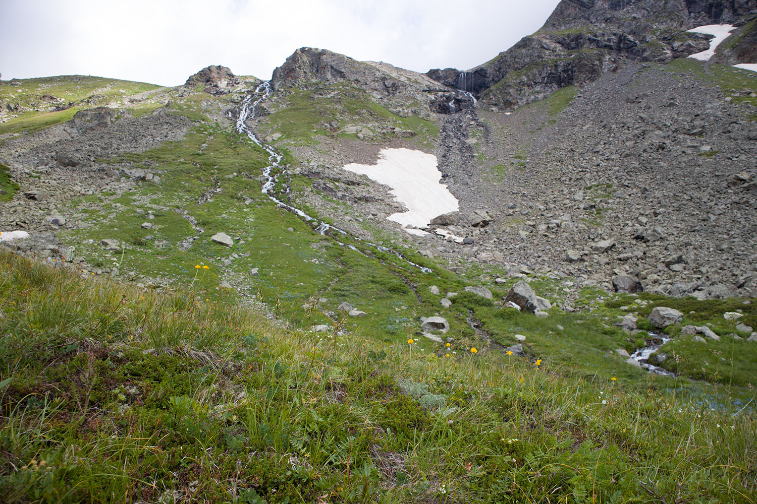 Долина Тихого ручья, image of landscape/habitat.