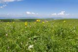 Джисса, image of landscape/habitat.