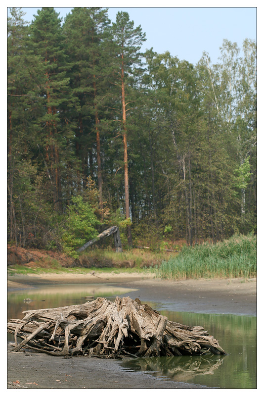 Саралы, image of landscape/habitat.