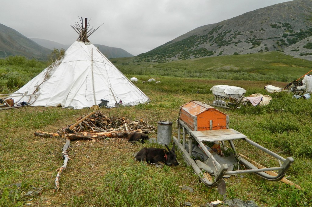 Большой Ханмей, image of landscape/habitat.