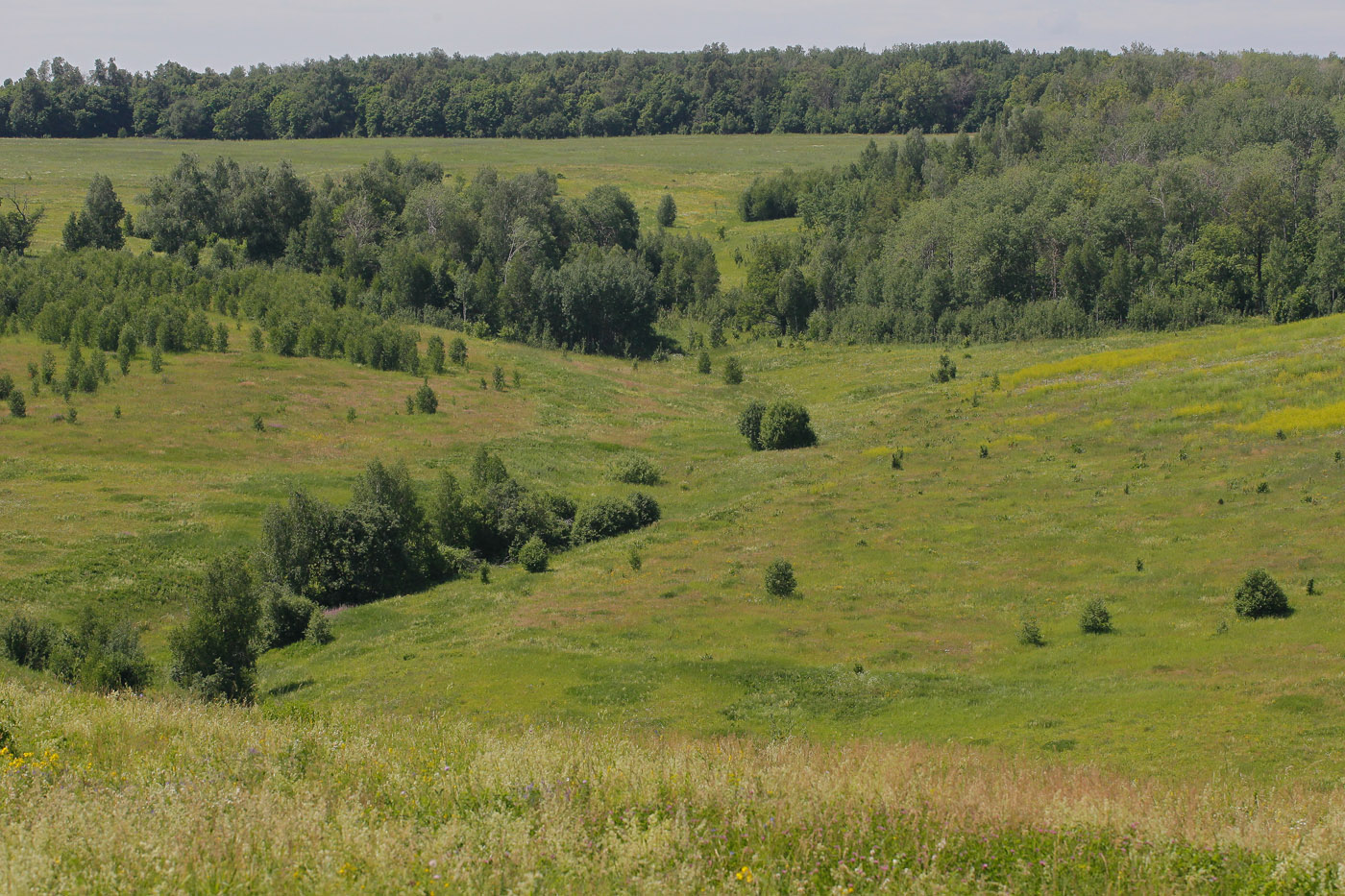 Склон, image of landscape/habitat.