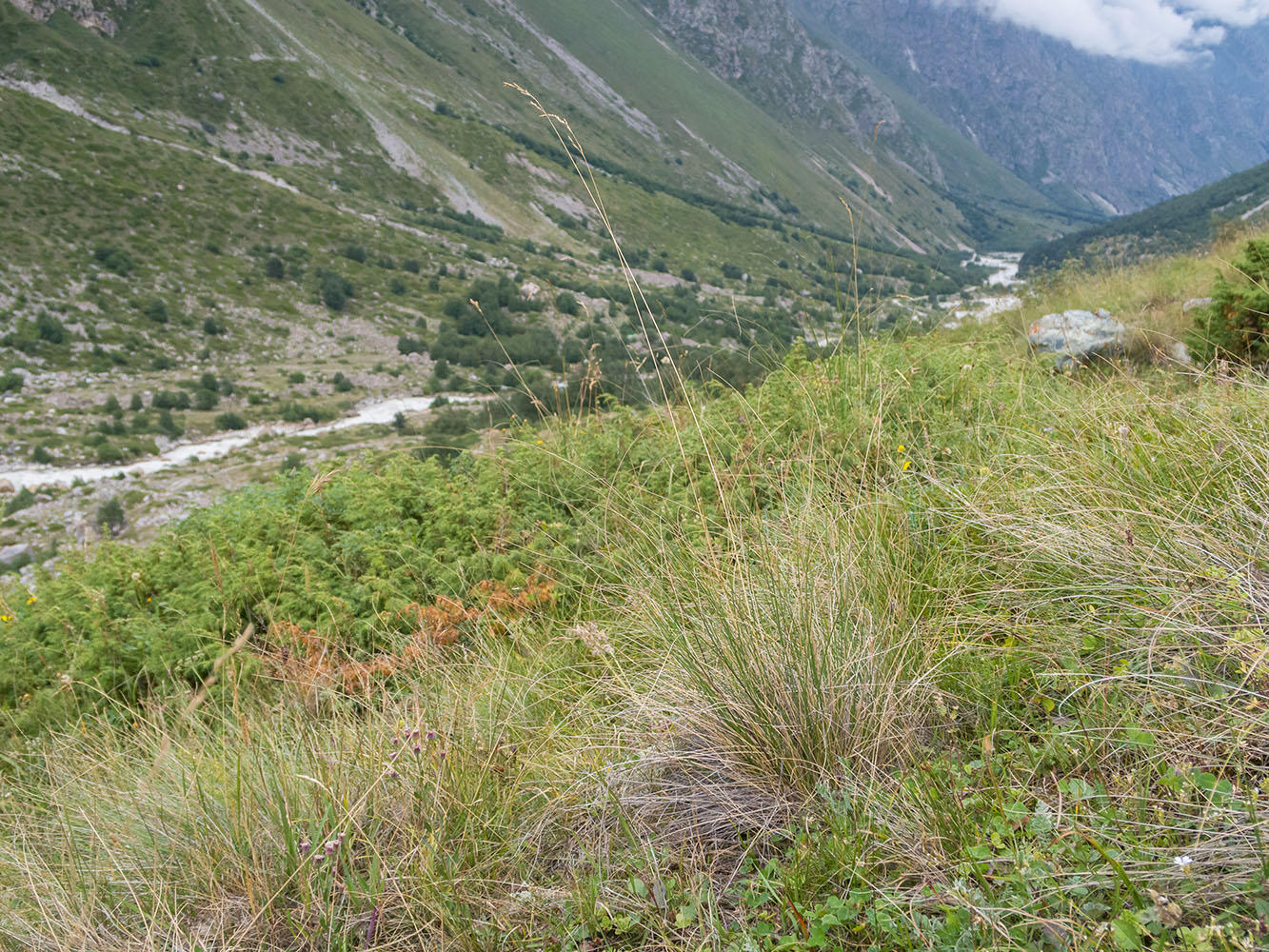 Морена у альплагеря «Безенги», image of landscape/habitat.