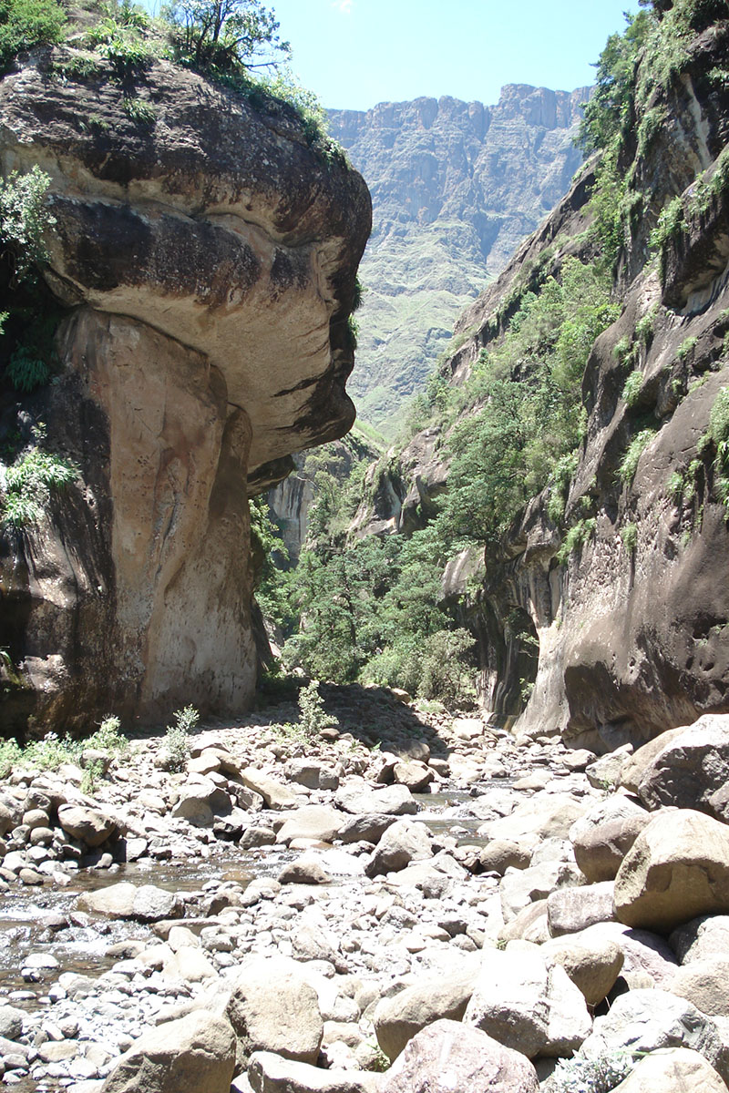 Ущелье водопада Тугела, image of landscape/habitat.