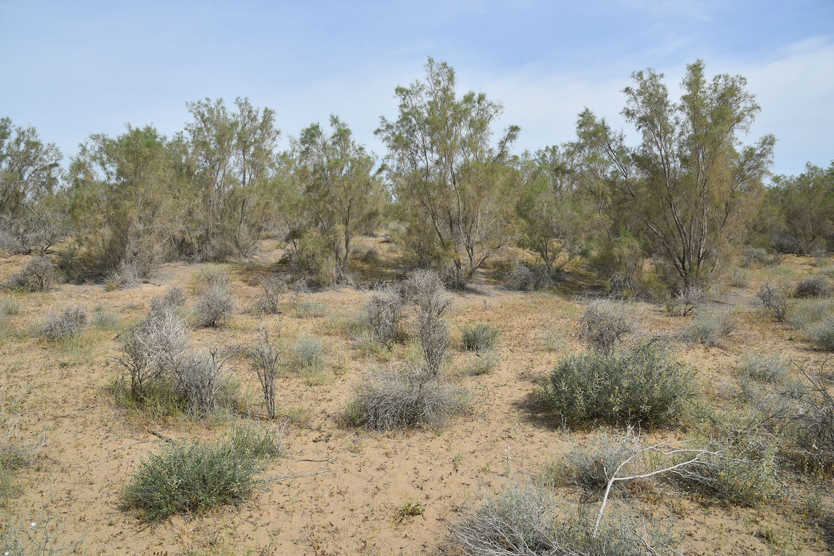 Караулбазар, image of landscape/habitat.