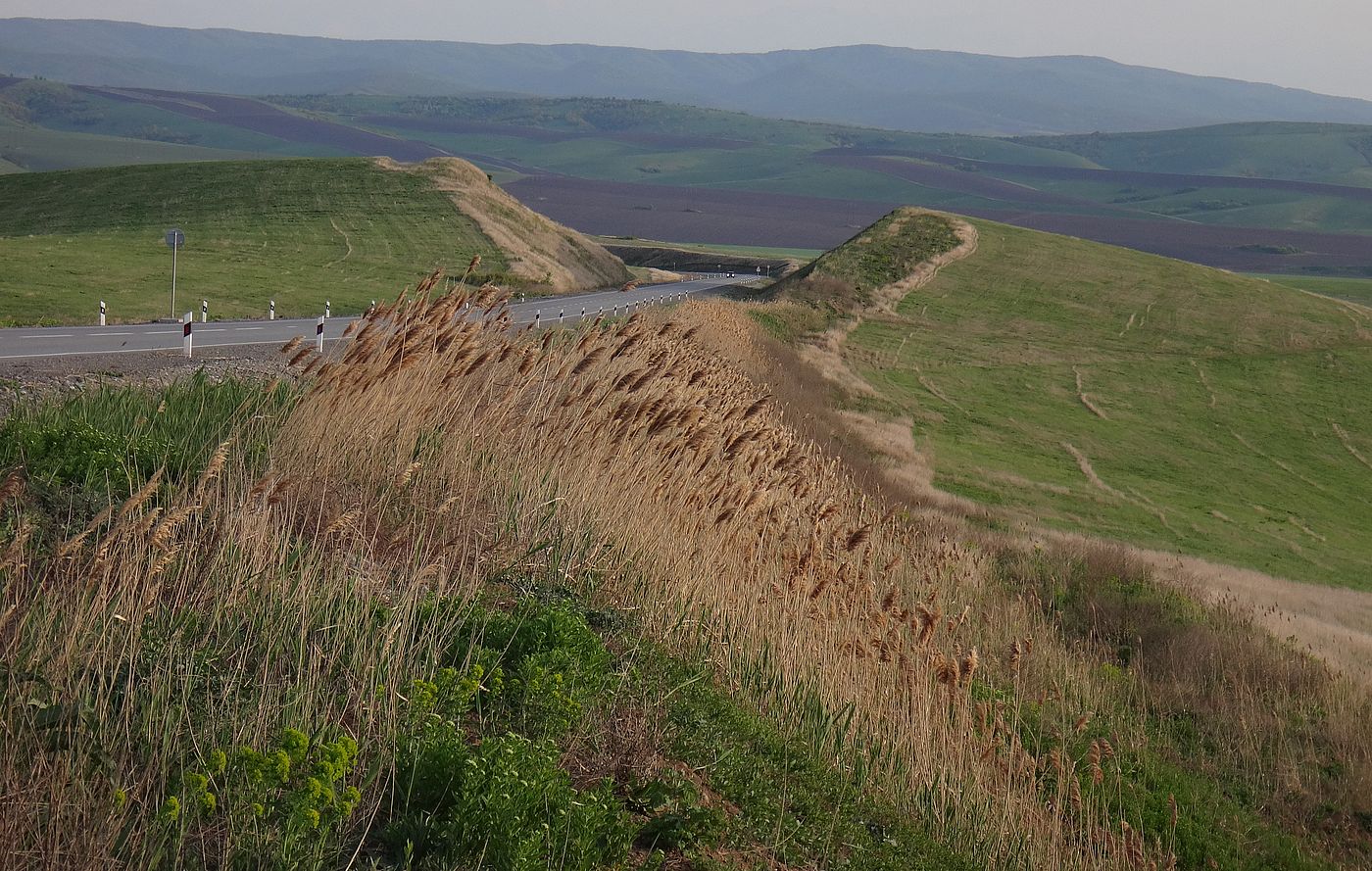 Терский хребет, image of landscape/habitat.