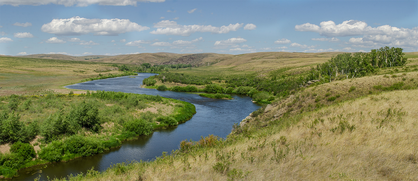 Грязнушинский, image of landscape/habitat.