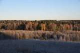 Окрестности деревни Семичёво, image of landscape/habitat.