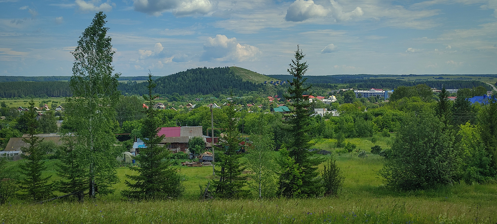 Окрестности села Ключи, image of landscape/habitat.