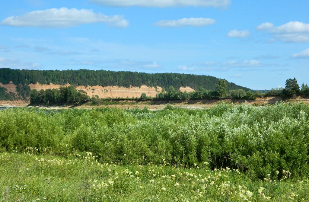 Устье Мяколицы, image of landscape/habitat.