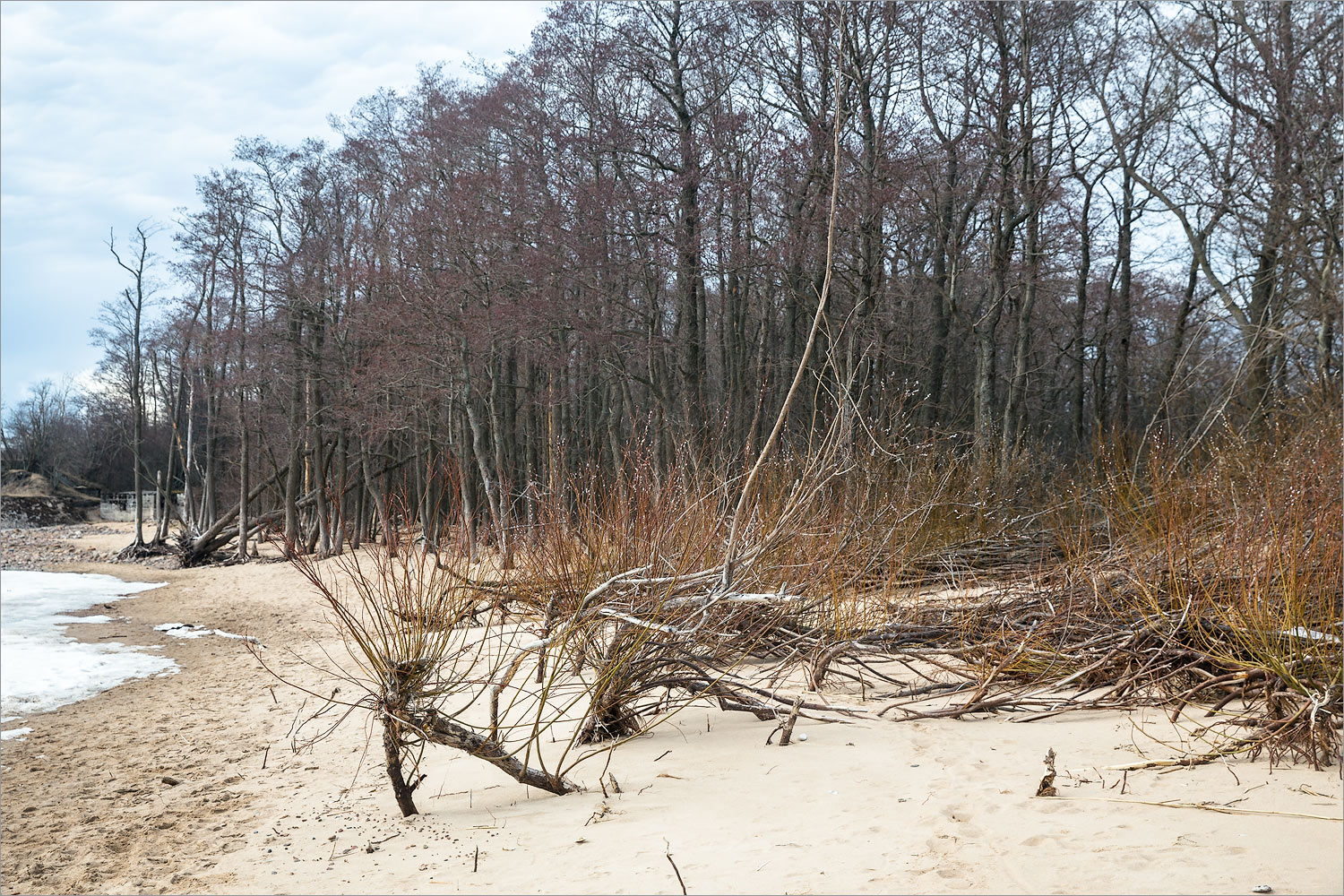 Западный Котлин, image of landscape/habitat.