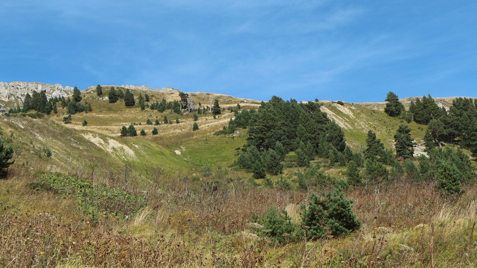 Узуруб, image of landscape/habitat.