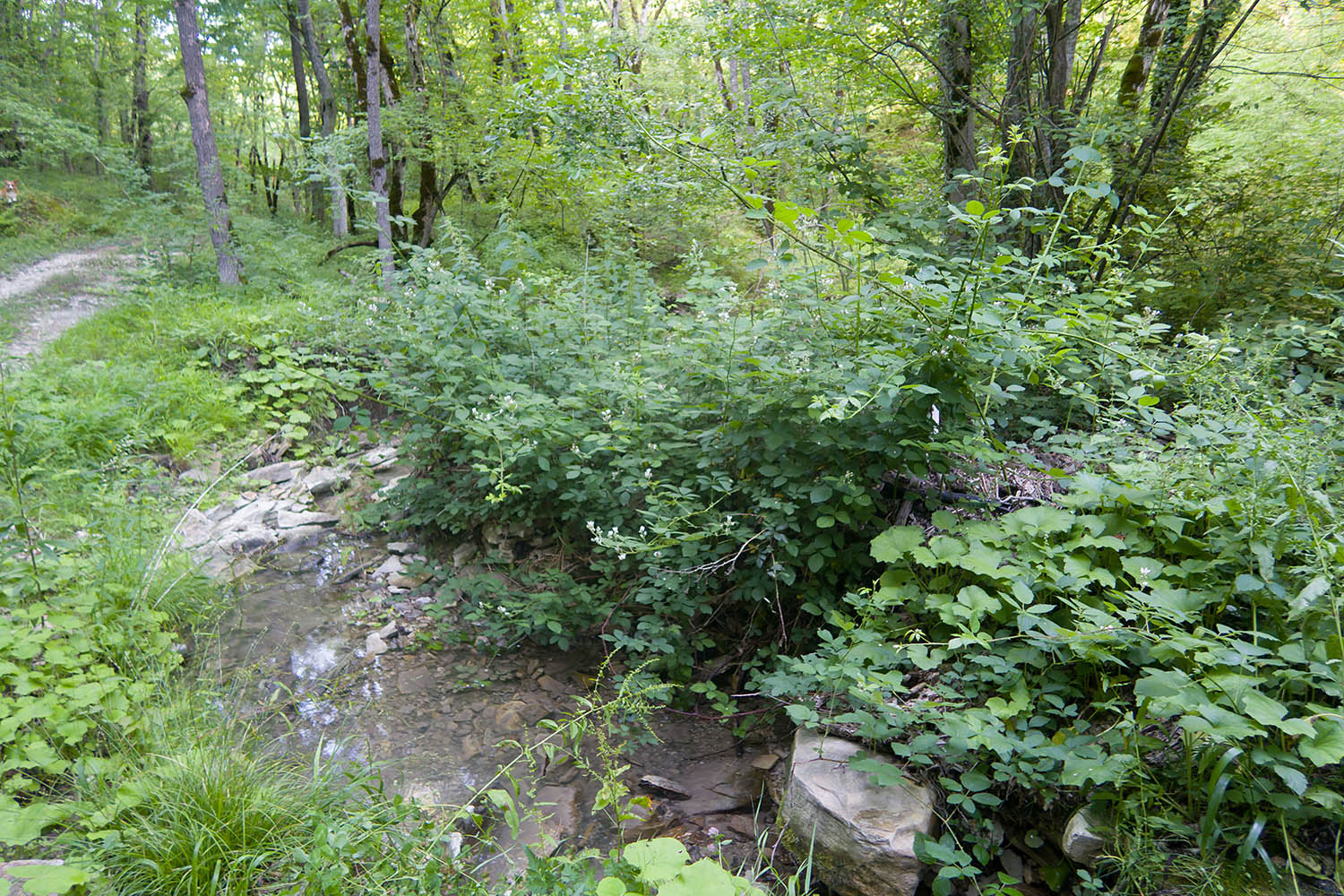 Темрючки, image of landscape/habitat.