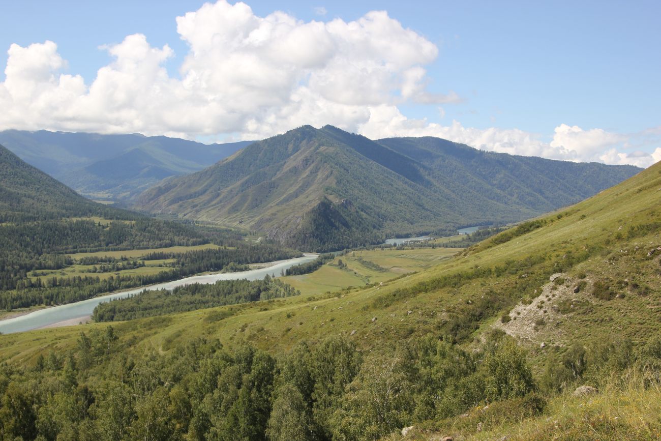 Окрестности ручья Барбыш, image of landscape/habitat.