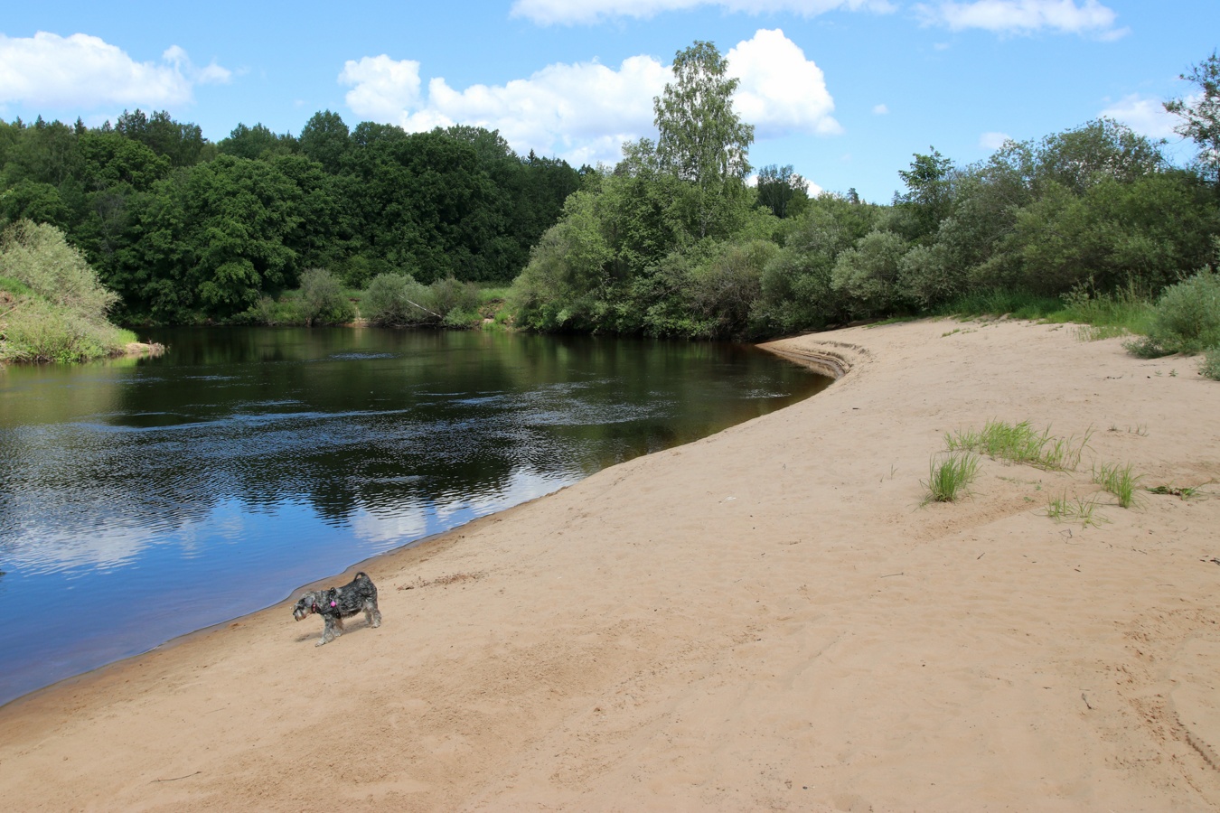 Луга у Кемки, image of landscape/habitat.