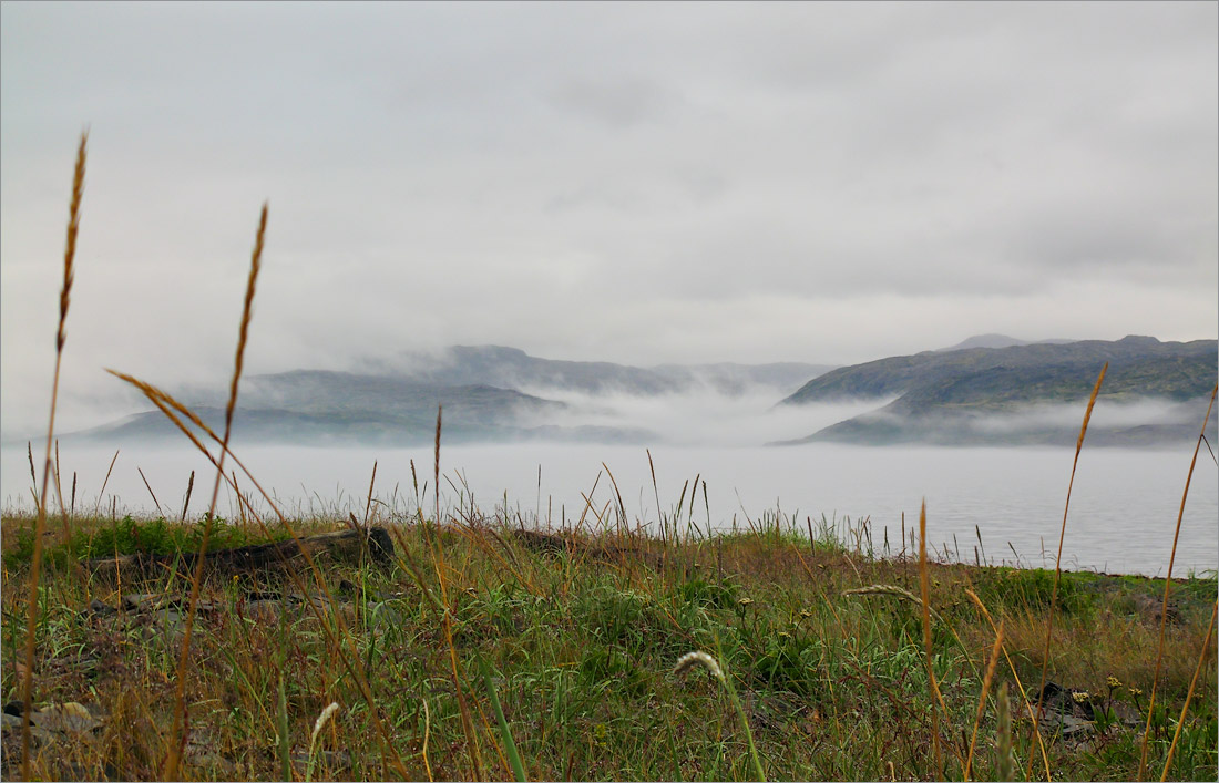 Малая Волоковая губа, image of landscape/habitat.