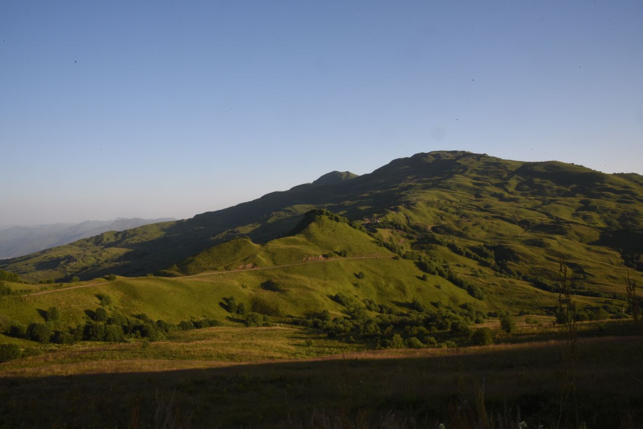 Гора Кокорт, image of landscape/habitat.