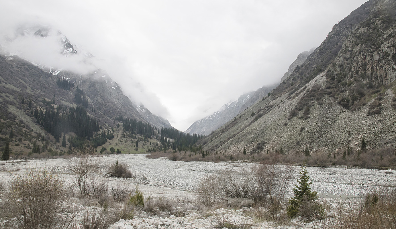 Природный парк "Ала-Арча", image of landscape/habitat.