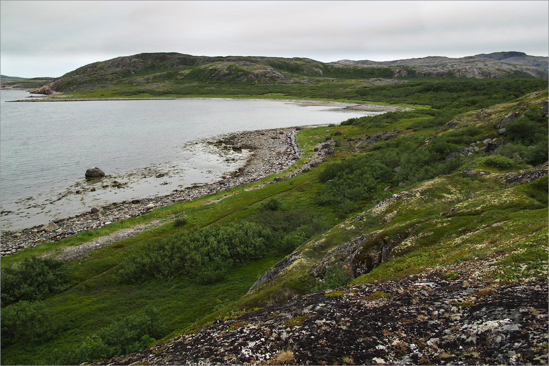 Малая Волоковая губа, image of landscape/habitat.