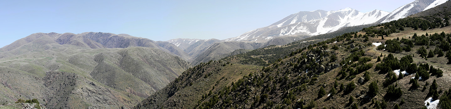 Домик Тризны, image of landscape/habitat.