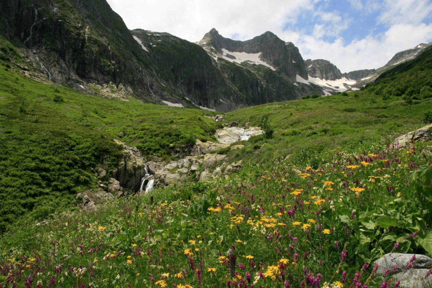 Долина реки Киша, image of landscape/habitat.