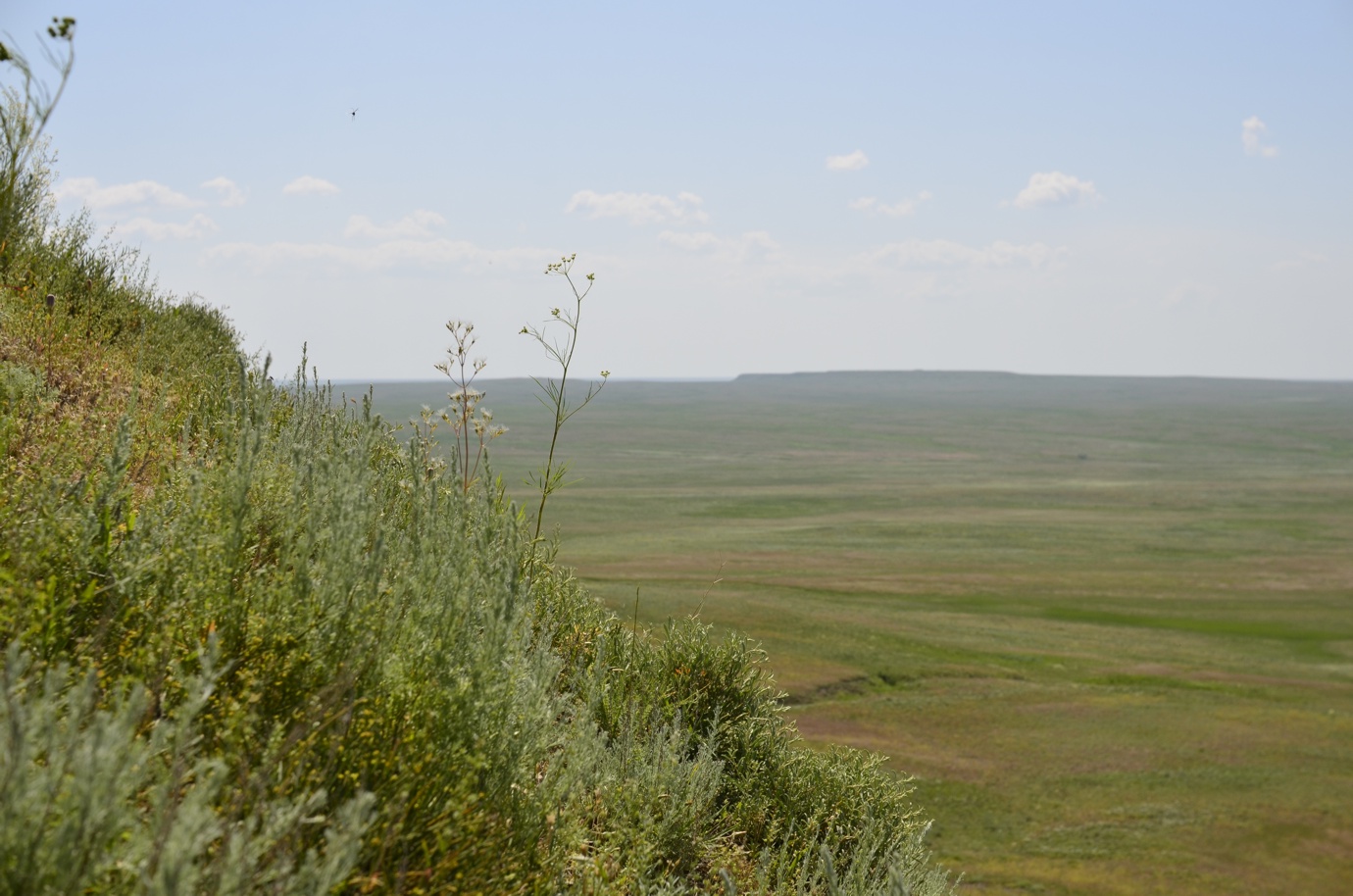 Гора Корсак-Бас, image of landscape/habitat.