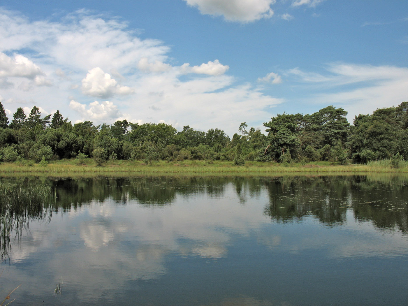 Dwingelderveld, изображение ландшафта.