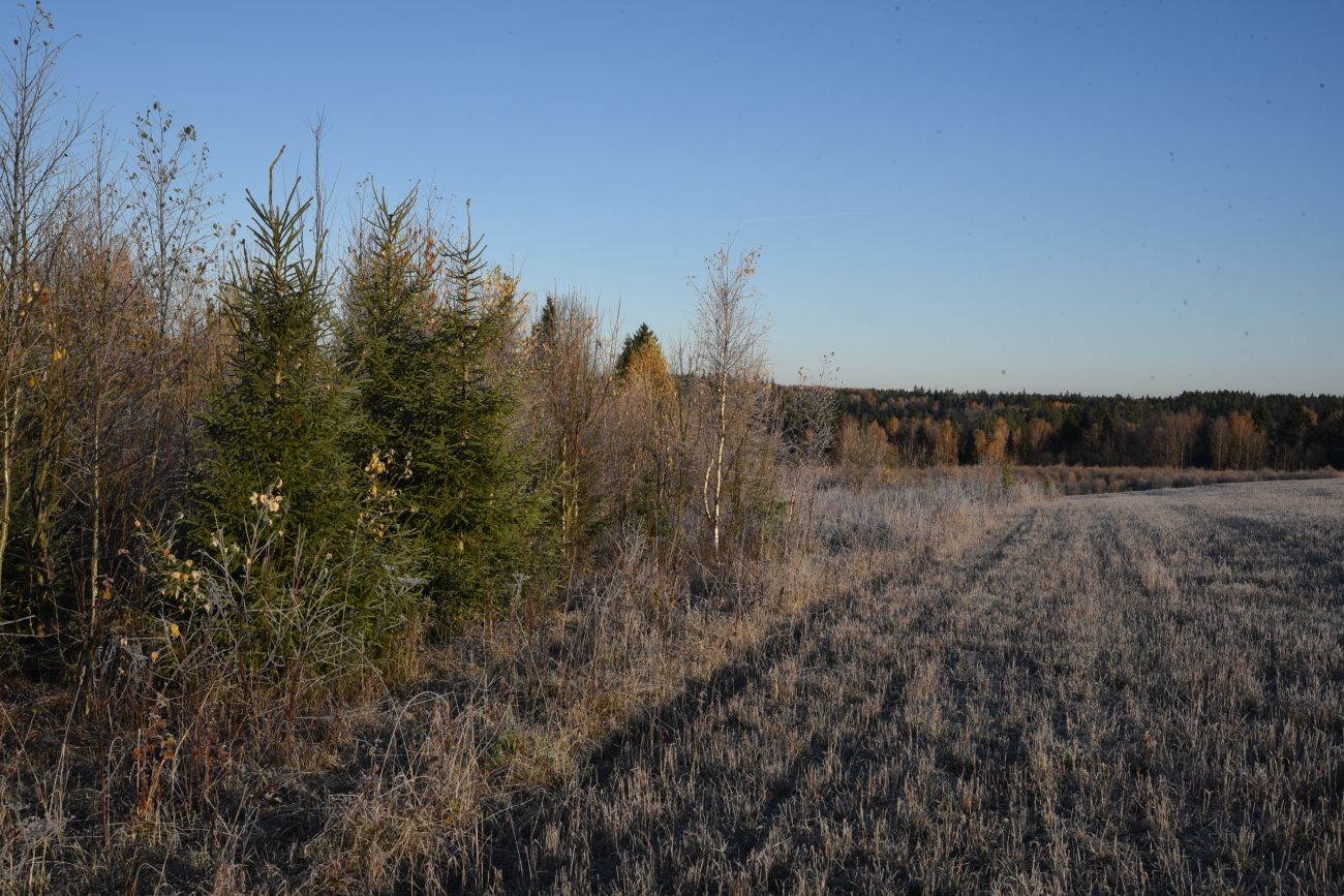 Окрестности деревни Семичёво, image of landscape/habitat.