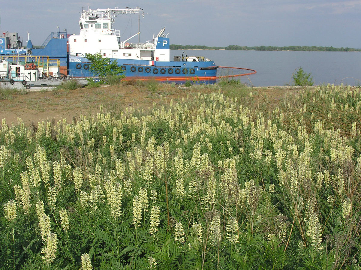 Увек, image of landscape/habitat.