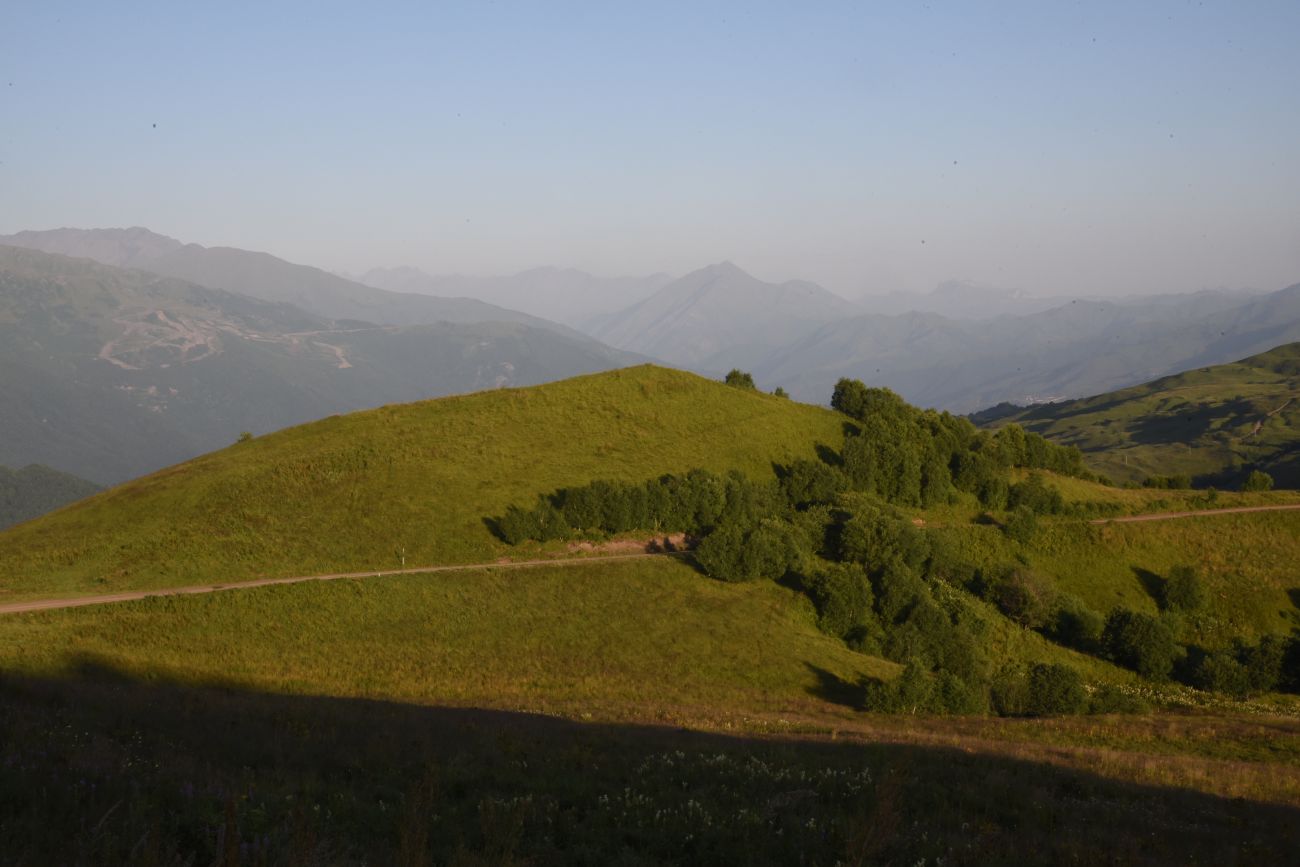 Окрестности перевала Чантыбарз, image of landscape/habitat.