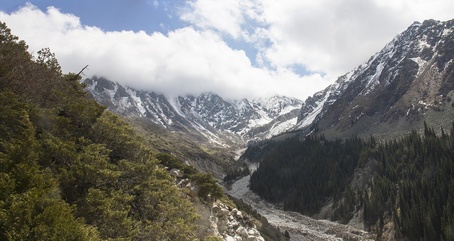 Природный парк "Ала-Арча", image of landscape/habitat.