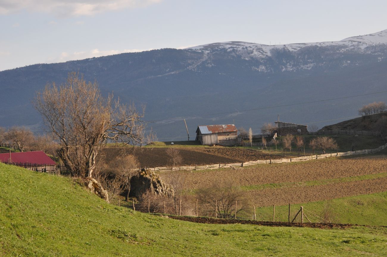 Патара-Занави, image of landscape/habitat.