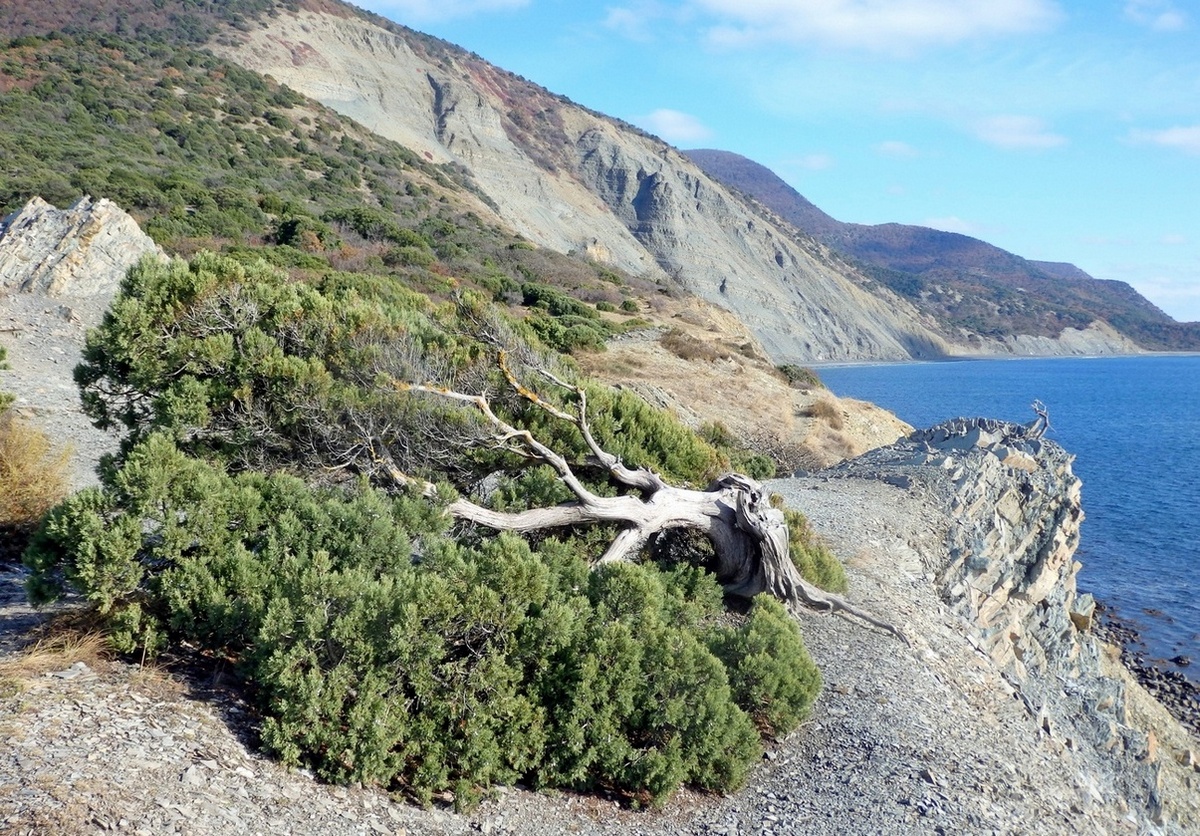 Мыс Большой Утриш, image of landscape/habitat.