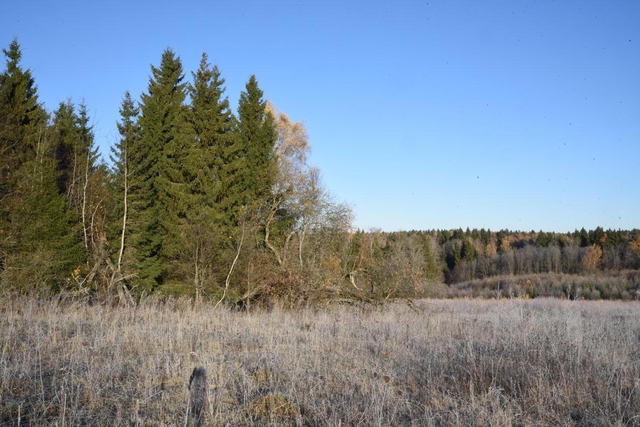 Окрестности деревни Семичёво, image of landscape/habitat.