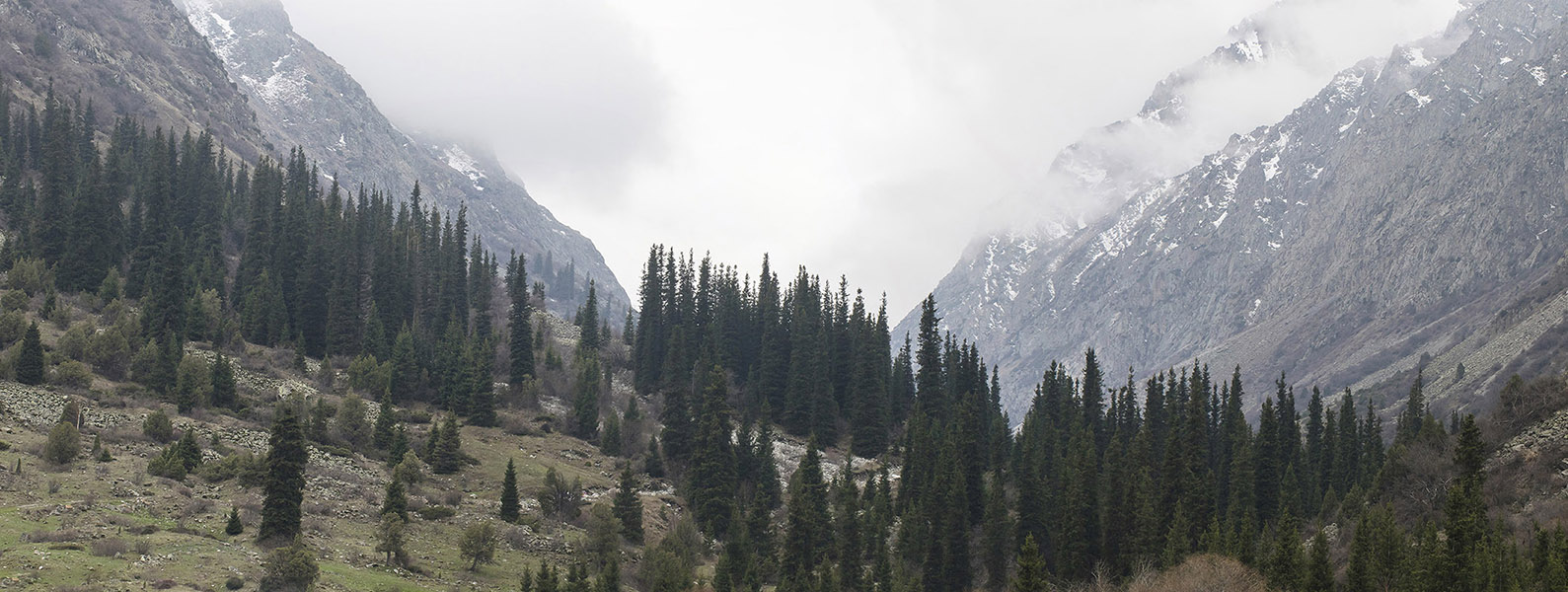 Природный парк "Ала-Арча", image of landscape/habitat.