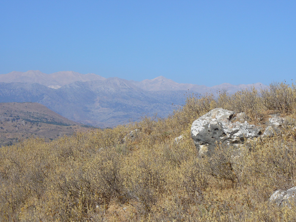 Окрестности Георгиуполиса, image of landscape/habitat.