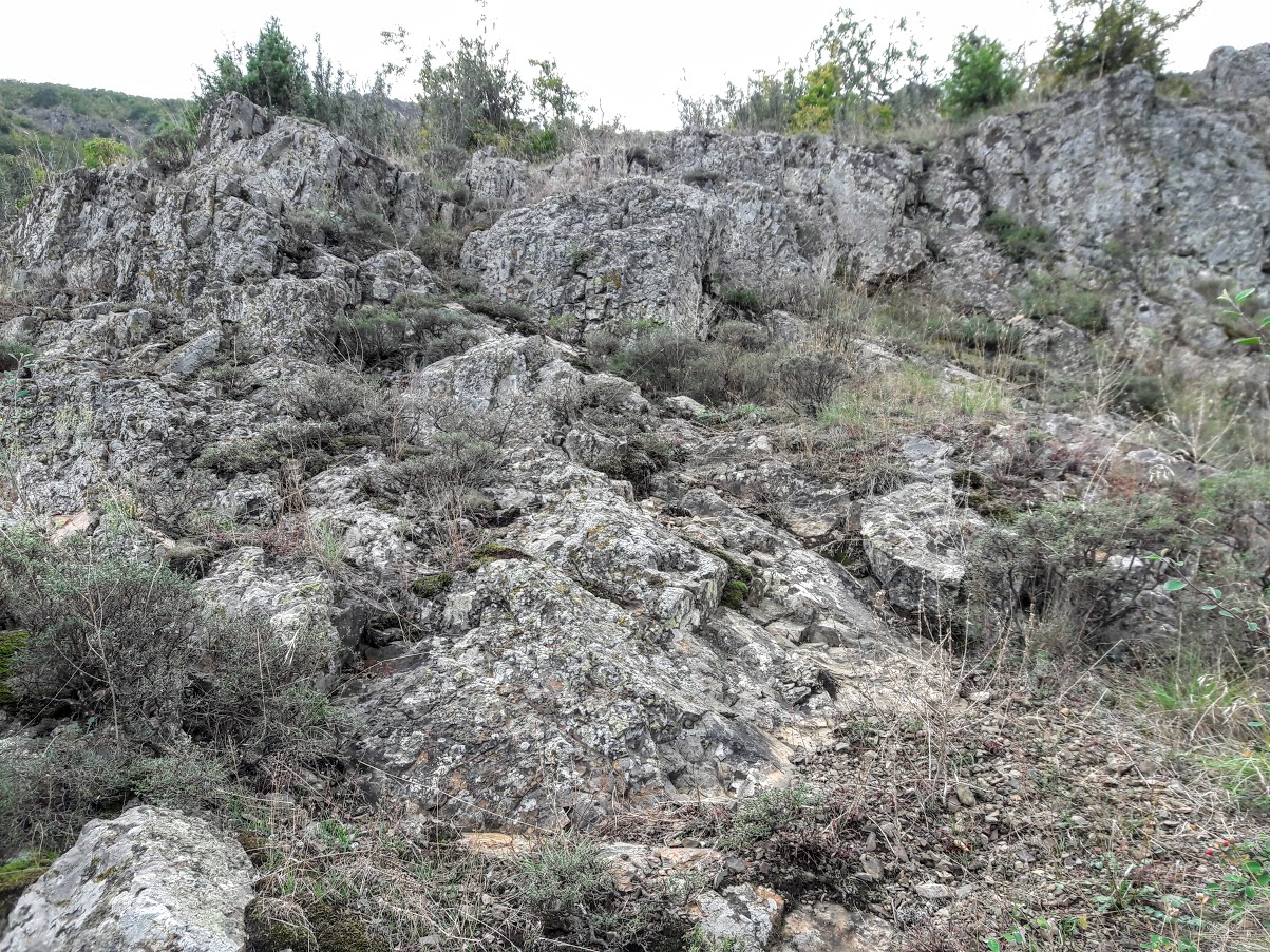 Аюдаг, image of landscape/habitat.