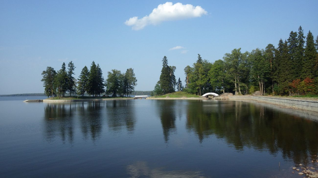 Парк Монрепо, image of landscape/habitat.