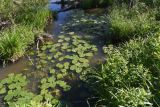 Окрестности деревни Федорино, image of landscape/habitat.