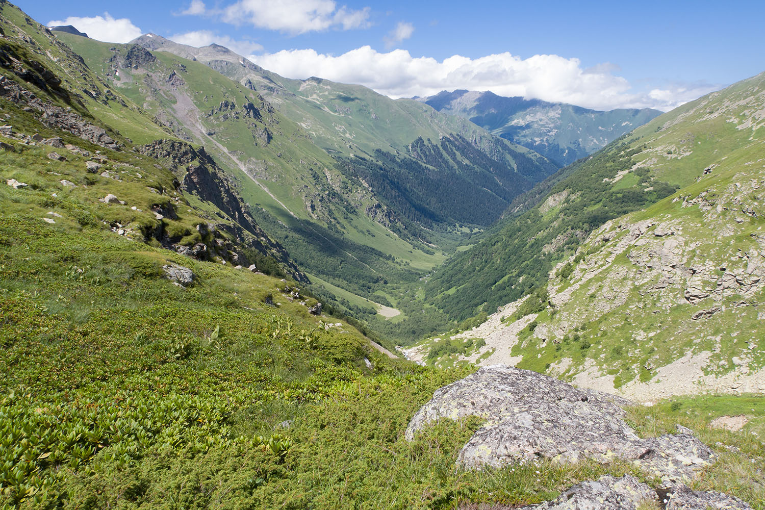 Имеретинское ущелье, image of landscape/habitat.