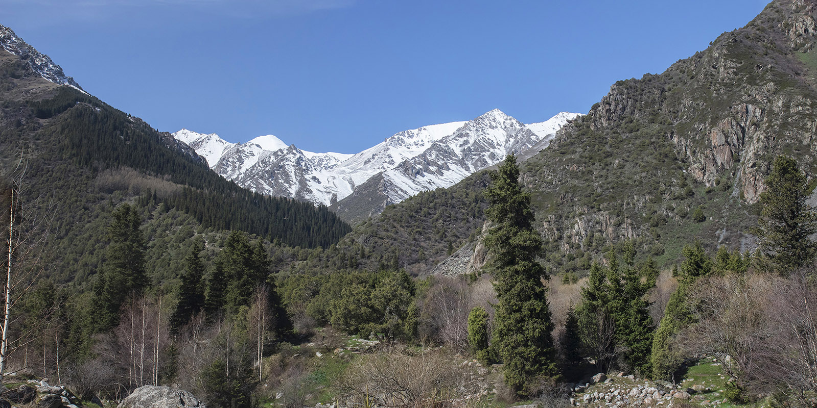 Природный парк "Ала-Арча", image of landscape/habitat.